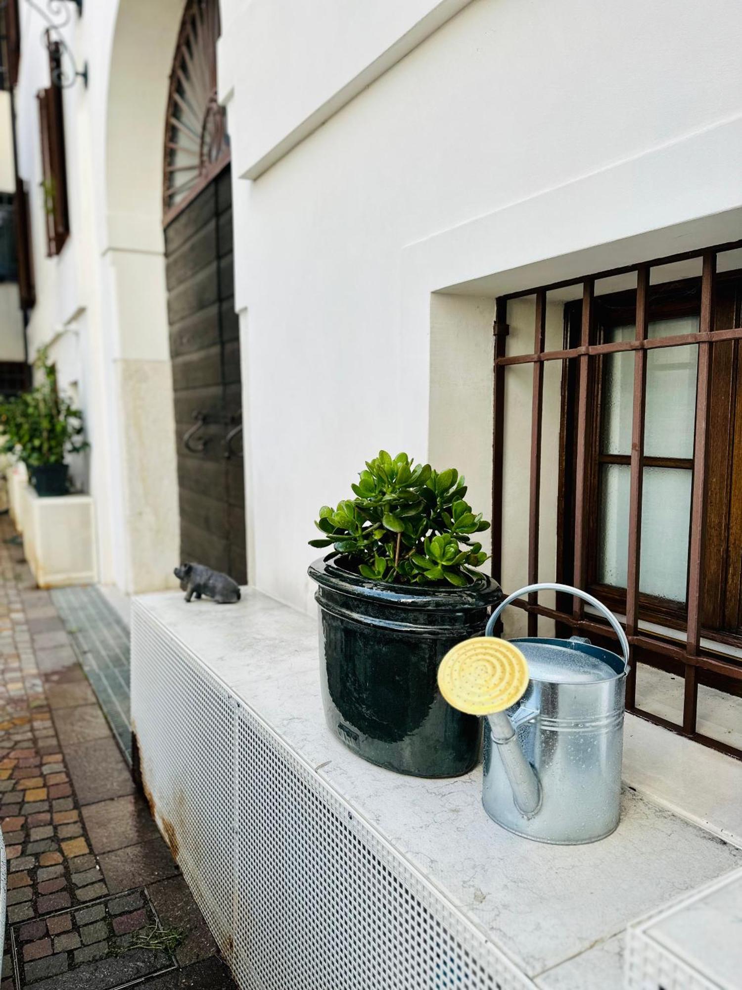 Ca' Degli Uberti Dimora Storica Apartment Treviso Exterior photo